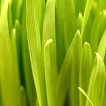 免费ddos平台攻击