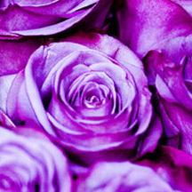 免费ddos平台攻击